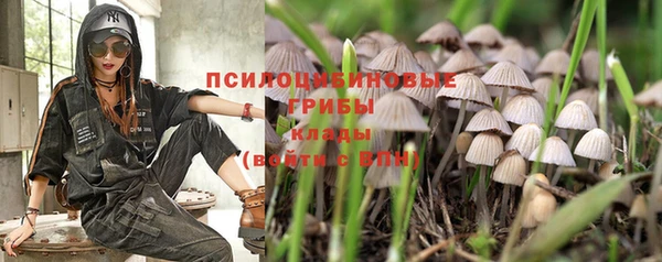 трава Бугульма